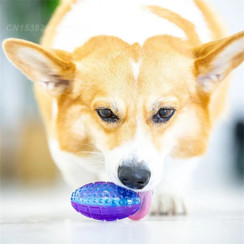 Dogball Decompress And Relieve Stress Food Grade Tpr Dog Bouncing Ball Dog Toys Spiky Ball Special Texture Surface Dog Supplies